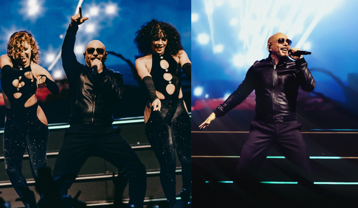 Pitbull