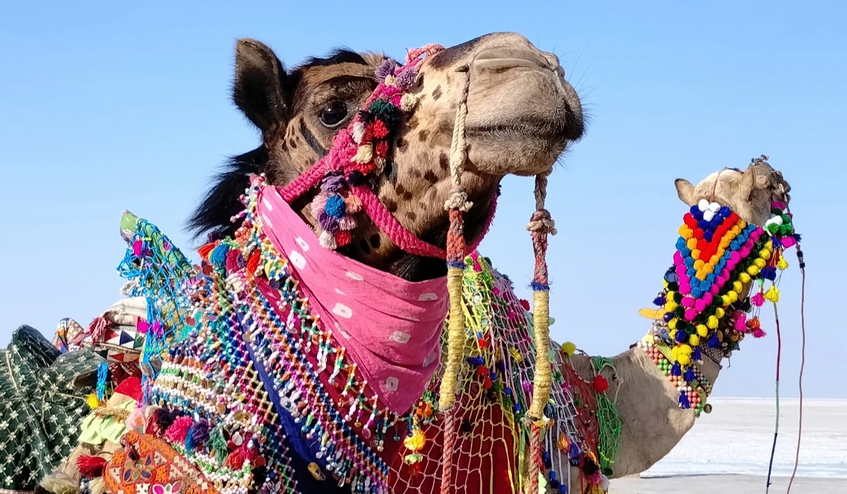 Rann Utsav 2025