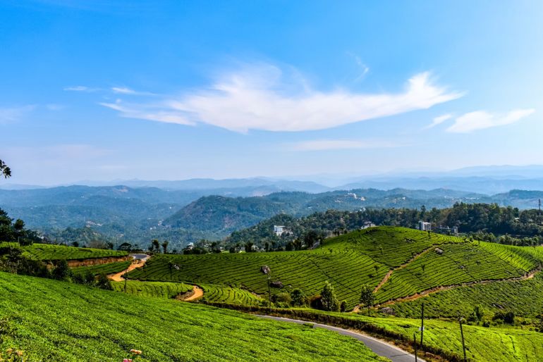 best homestays in munnar