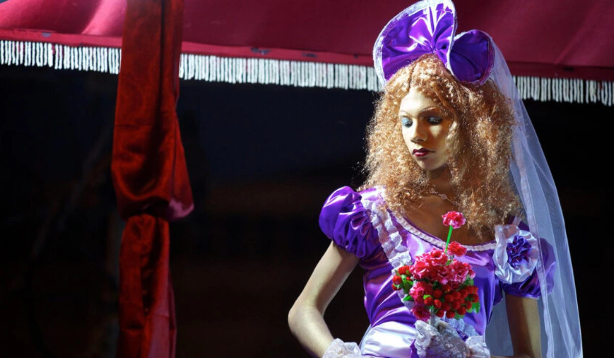 Cochin Carnival: What It Is, Why It’s Celebrated And How To Reach Fort Kochi