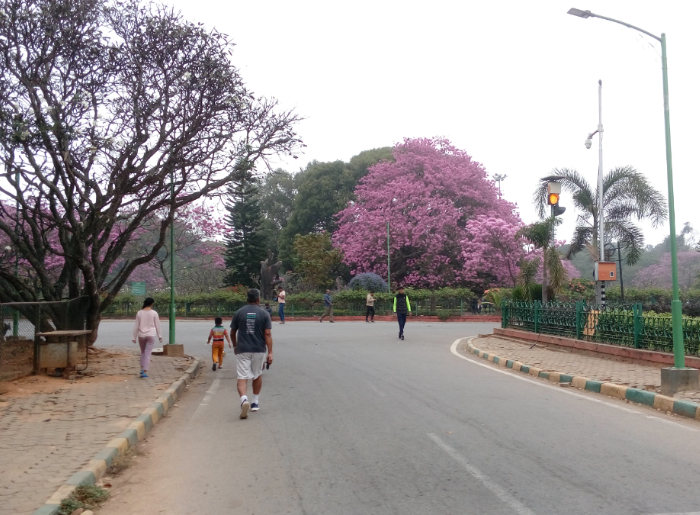 Places To Visit Near MG Road Metro