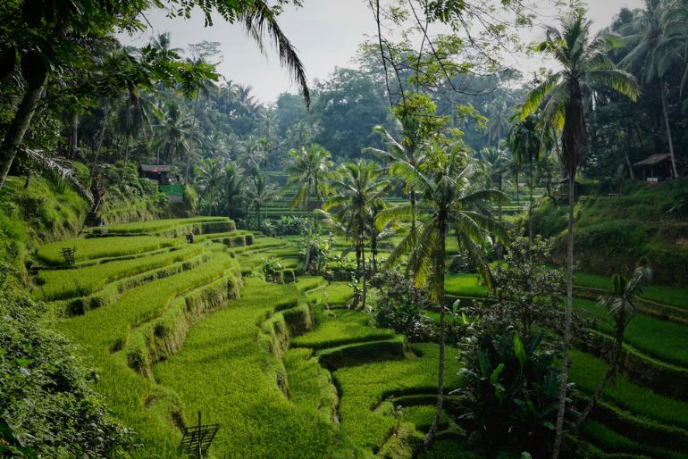 Bali in April: Weather, Cost & Travel Tips (2026 Guide) 2 bali 1 1