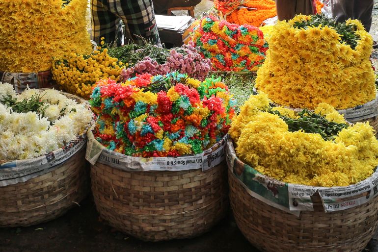 Heritage Walks In Kolkata 2026: Routes, Timings & Booking Guide 1 flower