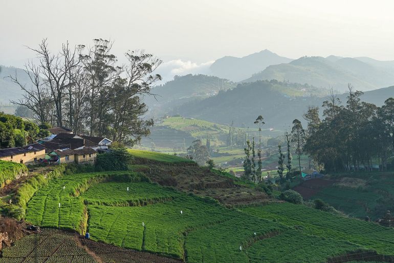 ooty