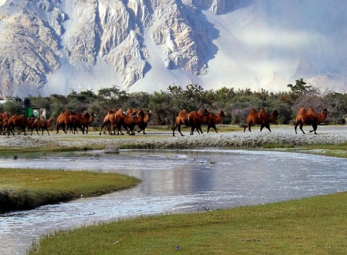 8 Days Ladakh Itinerary: Complete Travel Plan, Route, Budget & Permits (2026 Guide) 4 8 Days Ladakh Itinerary covering Leh, Nubra Valley, Turtuk and Pangong Tso