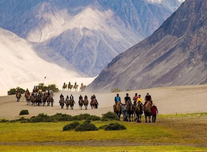 8 Days Ladakh Itinerary: Complete Travel Plan, Route, Budget & Permits (2026 Guide) 2 8 Days Ladakh Itinerary covering Leh, Nubra Valley, Turtuk and Pangong Tso