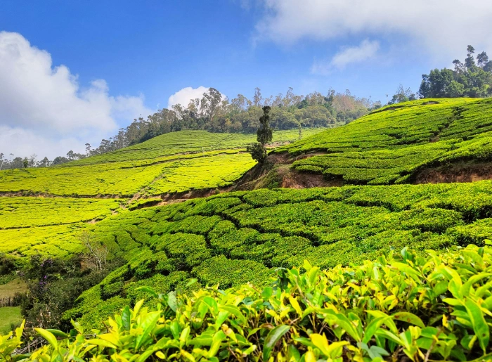 7 Cold Places In India To Visit In May & June 2 Cold Places In India