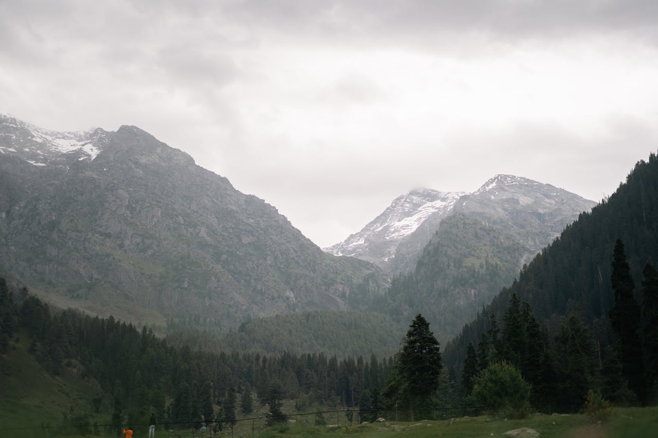 Jammu And Kashmir