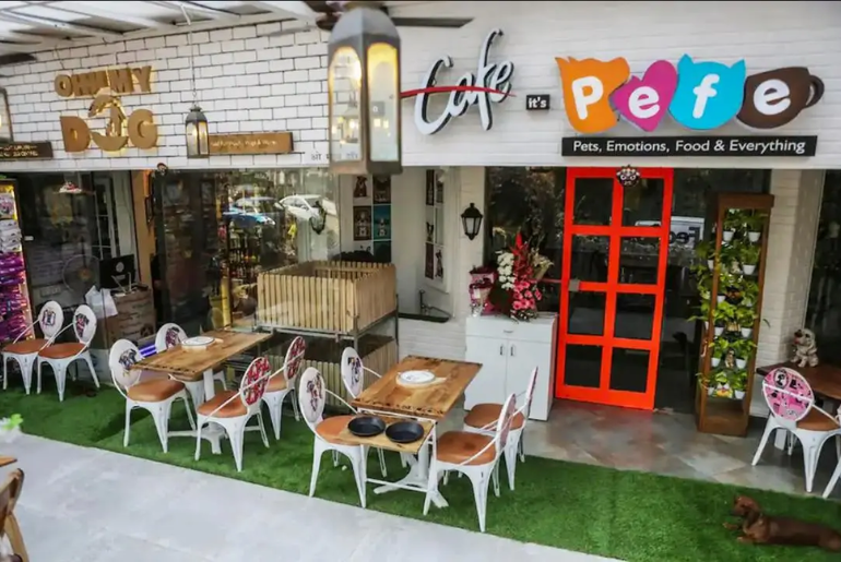 dog cafe