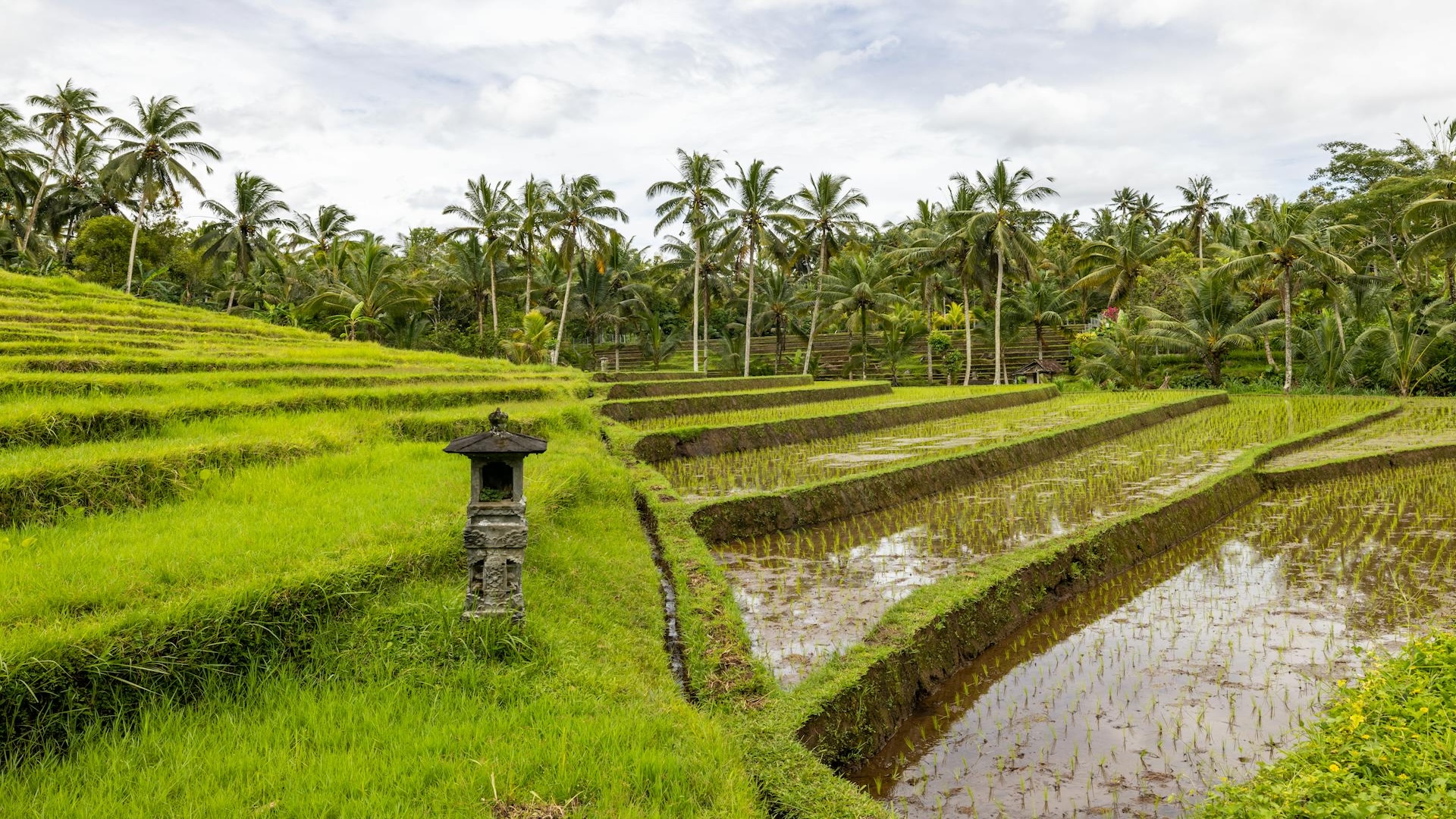 Bali Vs Thailand: Which Destination Is Better For Indian Travelers