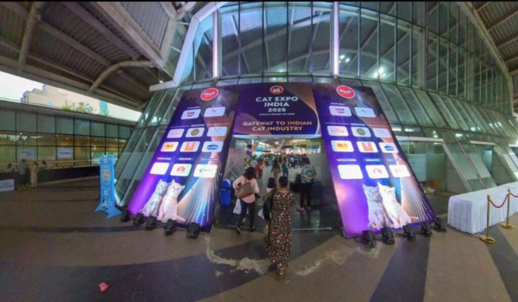 Cat India Expo 2026: A Weekend Every Cat Lover Should Experience 1 Cat 4