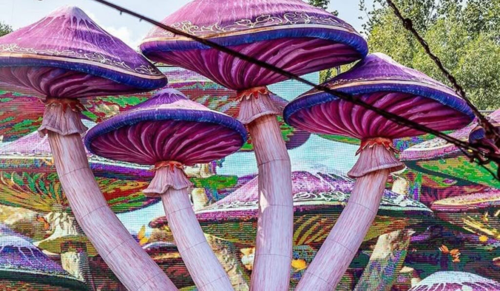 elrow Mumbai 2026: Venue, Entry Fees & Lineup 2 Elrow 2