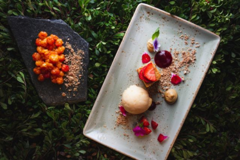 Finland Invites Guests To An All-Expenses-Paid Food Experience In Lapland 1 Finland