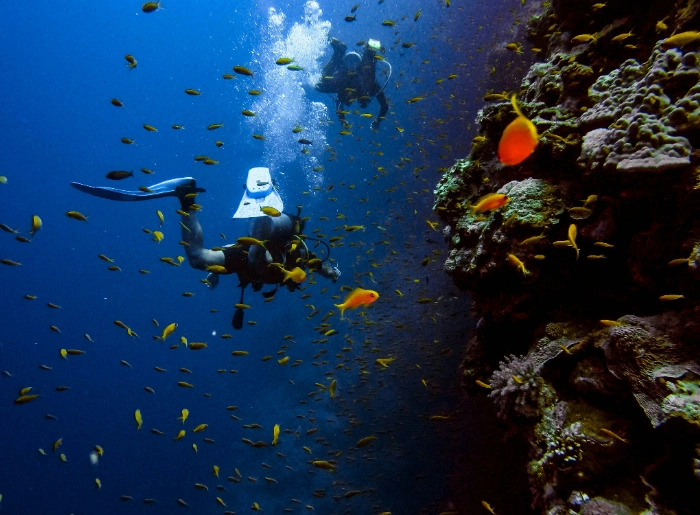 Andaman Launches Four New Dive Sites In Diglipur! 1 New Dive Sites In Diglipur
