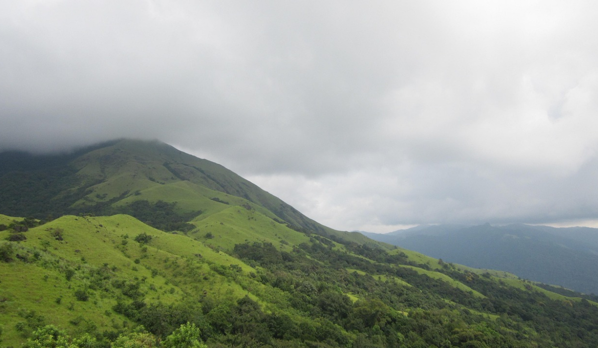 Karnataka Suspends Forest Treks