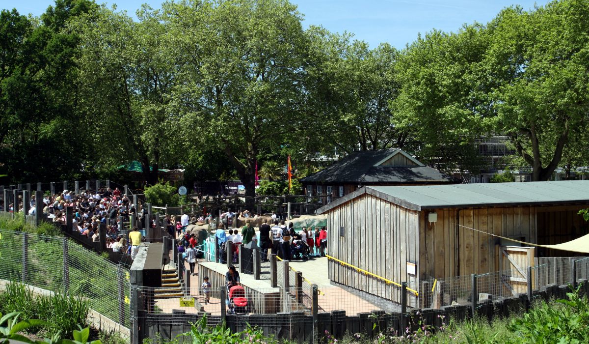 London zoo vet hospital