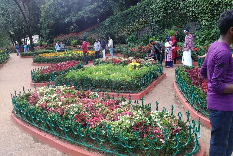 Ooty Flower Show