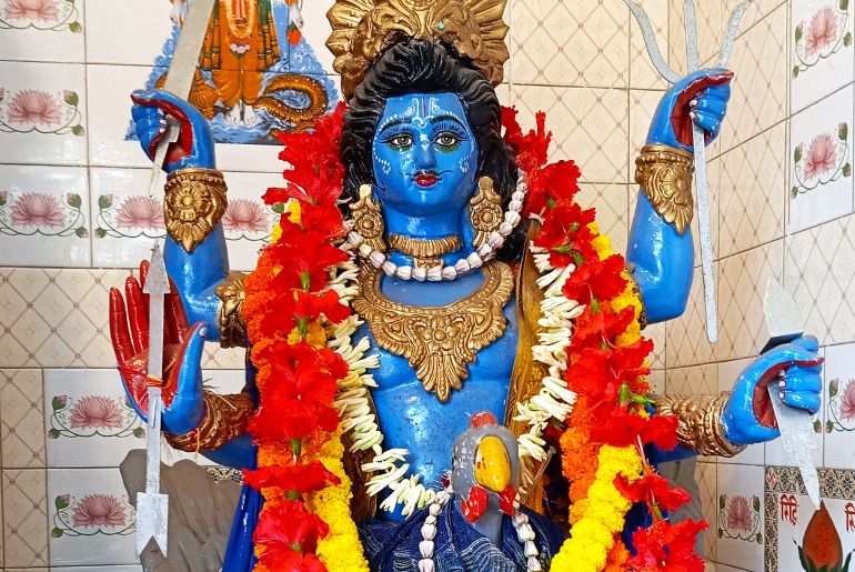 Shani Jayanti