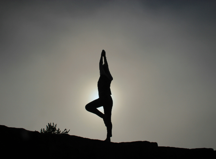 Yoga Retreats In India