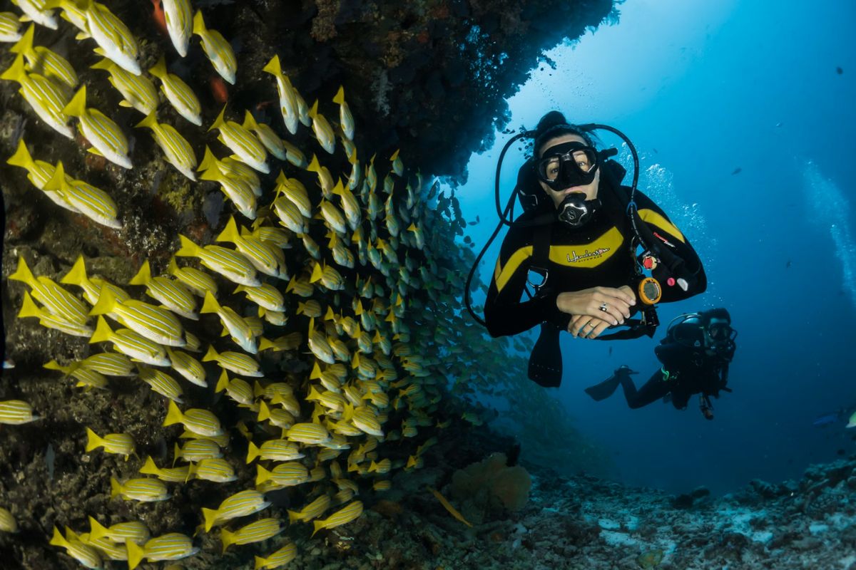 best places to do scuba diving in india