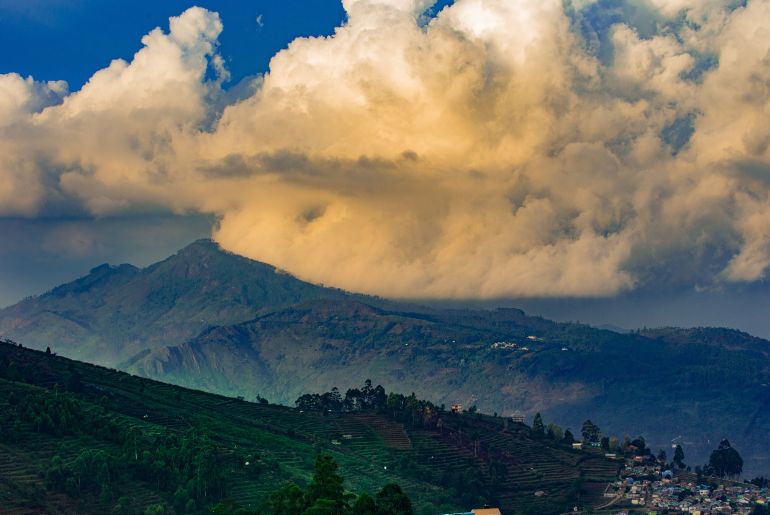 kodaikanal forest sites free entry