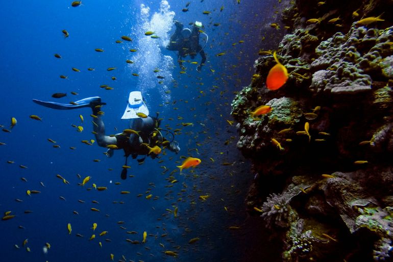 scuba diving in india (1)