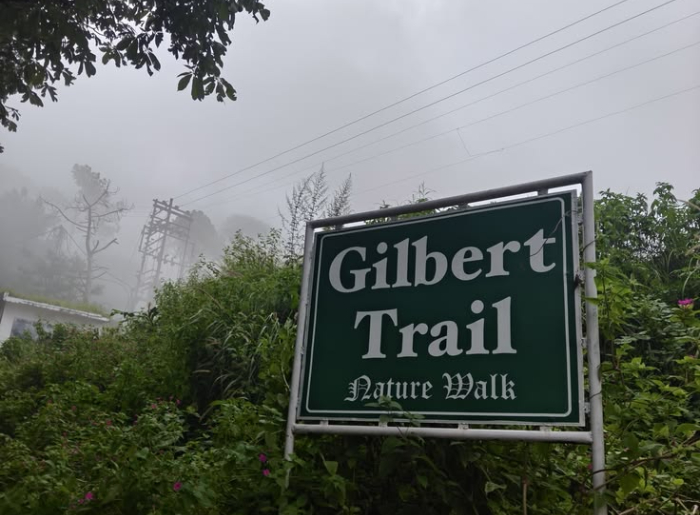 2 Day Kasauli Itinerary covering viewpoints, walking trails and places to visit in Himachal Pradesh