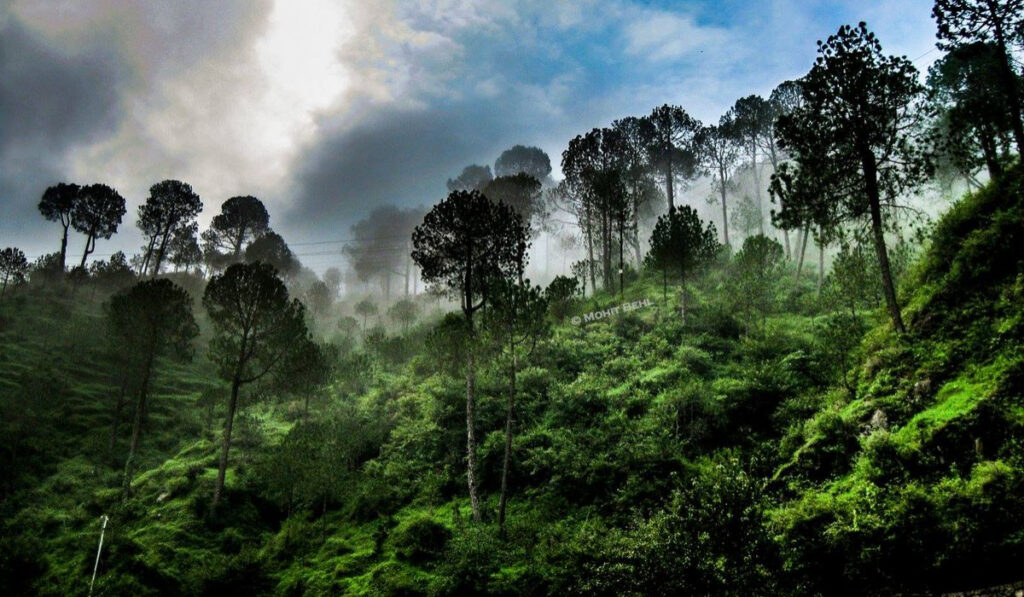 A Weekend In Kasauli – 2 Day Itinerary 5 2 Day Kasauli Itinerary covering viewpoints, walking trails and places to visit in Himachal Pradesh
