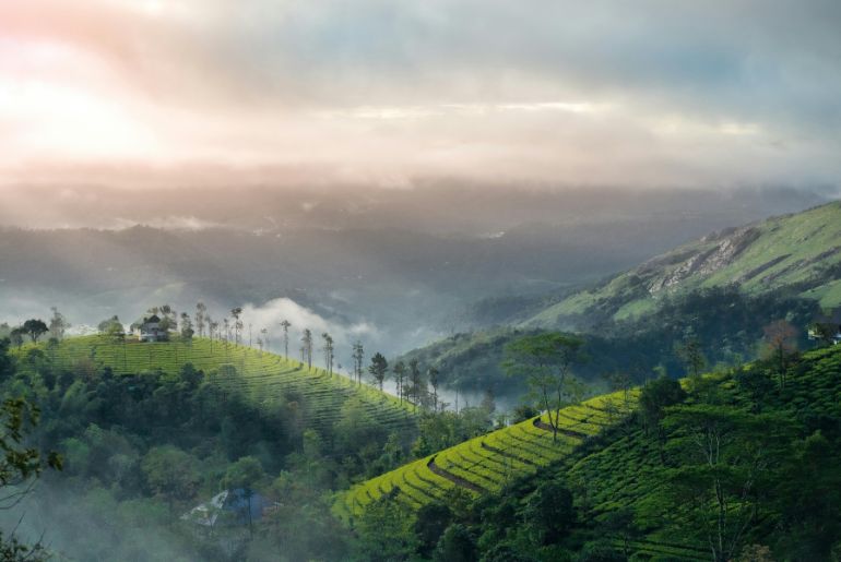 Best Monsoon Destinations India