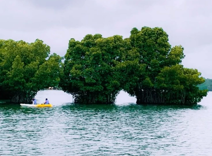 Best Time To Visit Kollam: Month-By-Month Breakdown 1 Best Time To Visit Kollam