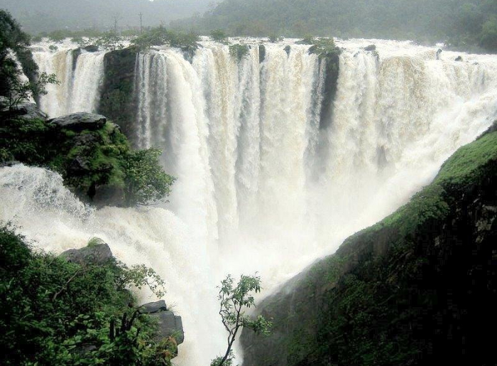 How to Reach Jog Falls From Bangalore