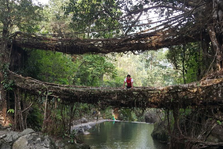 Meghalaya monsoon