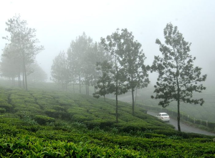 What To Pack For A Monsoon Trip In India