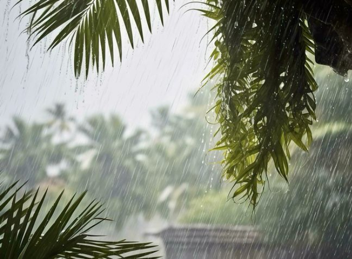 What To Pack For A Monsoon Trip In India