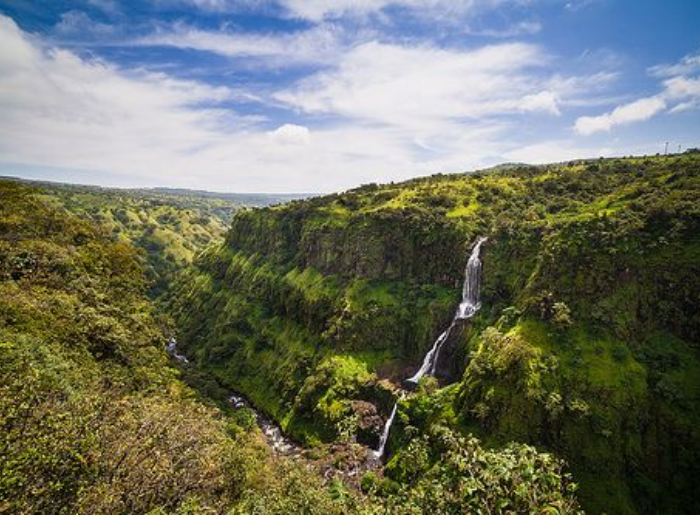 No-Trek Waterfalls In Maharashtra: Stunning Monsoon Escapes Without The Hike 5 Maharashtra's Best Waterfalls You Can Visit Without Hiking