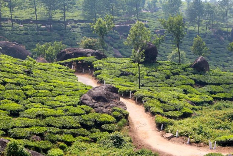 agumbe chikmagalur monsoon (1)