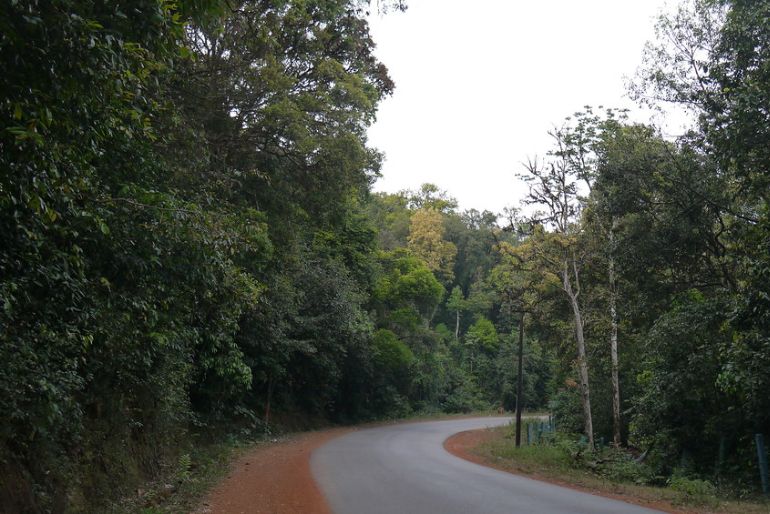 agumbe chikmagalur monsoon (2)