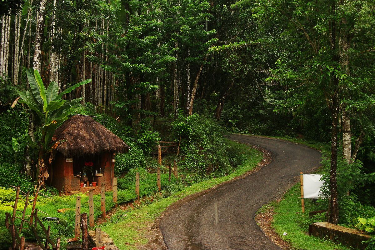agumbe chikmagalur monsoon