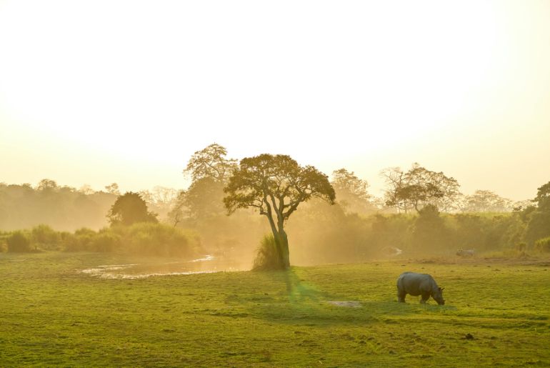 backpacking through northeast india