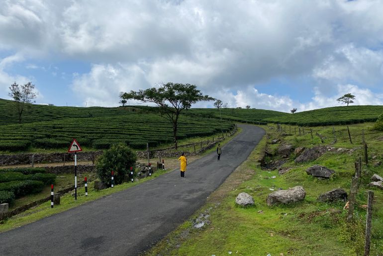 Best Places To Visit In Kerala After The First Rain 2 best places to visit kerala