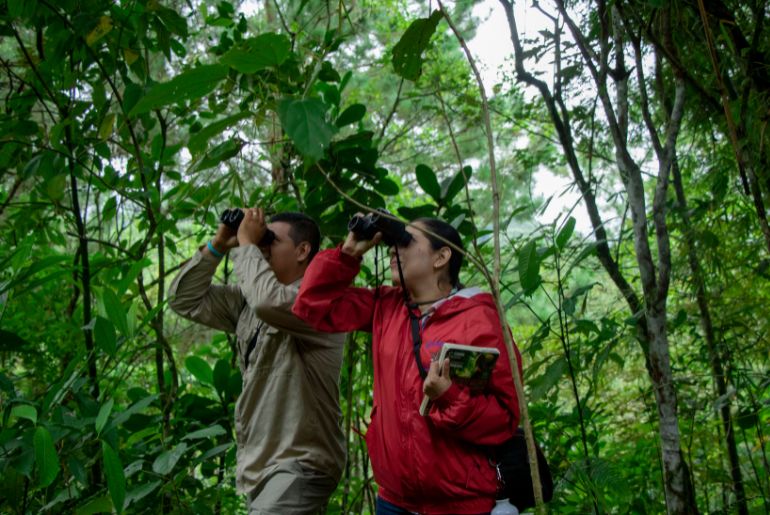 Delhi Zoo Launches Weekly Sunday Bird Walk: Timings & How To Register 1 delhi zoo bird walk