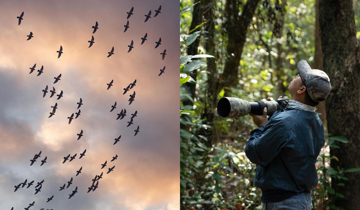 delhi zoo bird walk