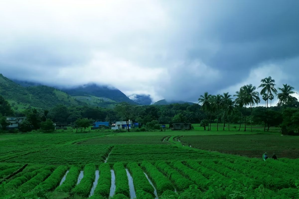kerala travel monsoon june august guide