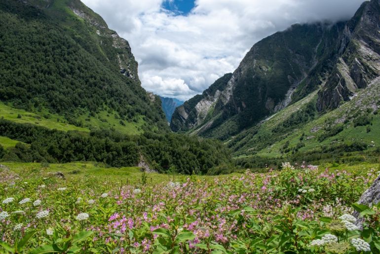 valley of flowers uttarakhand