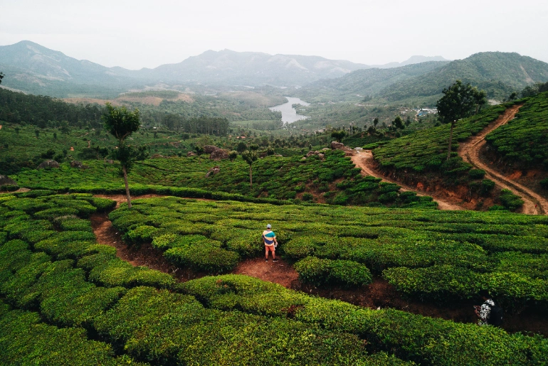 Best Time To Visit Idukki