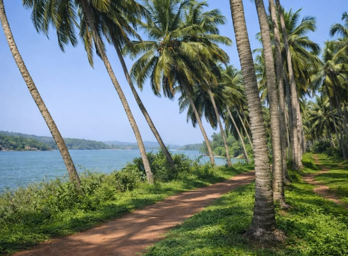 Best Time To Visit Kasaragod