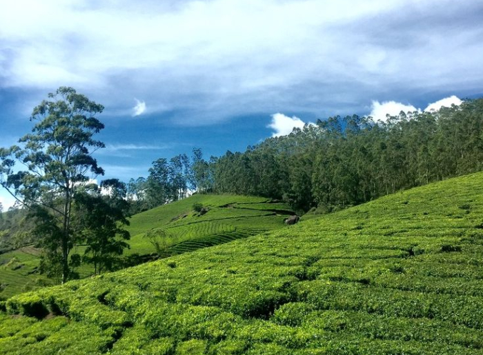 Best Time To Visit Kasaragod