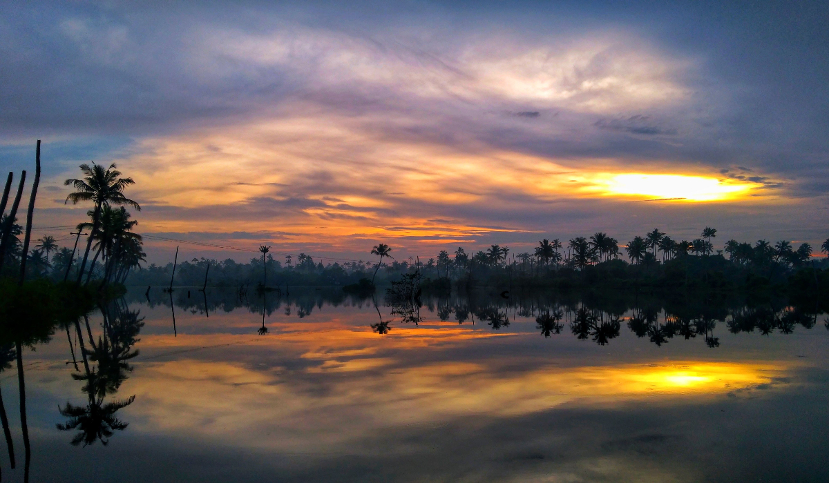 Complete Palakkad Travel Guide