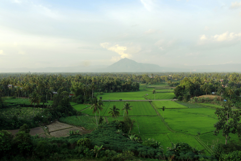 Complete Palakkad Travel Guide