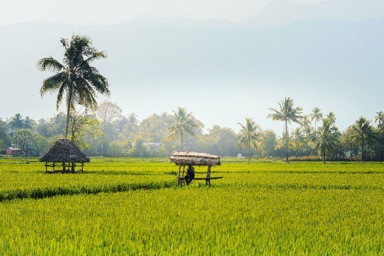 Best Time To Visit Palakkad: Month-By-Month Breakdown 2 Best Time To Visit Palakkad